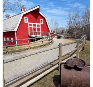 History Bus Tour including Heritage Park