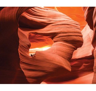 Antelope Canyon & Horseshoe Bend Tours