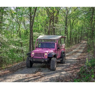 Downtown to Mountaintop Branson Jeep Tour