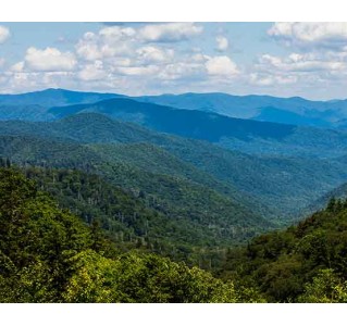 Newfound Gap Smoky Mountains Tour