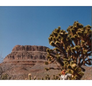 Grand Canyon West Rim 5-in-1 Ground Tour