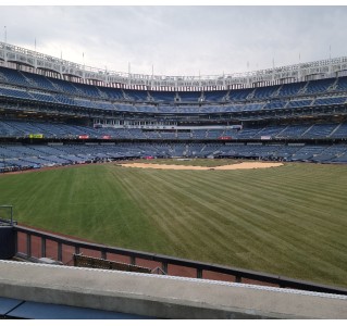 Yankees Baseball, Harlem, Bronx & Hip Hop - 1 Day Tour