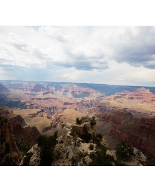 Tours From The Grand Canyon