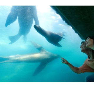 Aquarium of The Pacific