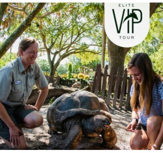 Busch Gardens Tampa® Elite VIP Tour