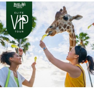 Busch Gardens Tampa® Elite VIP Tour