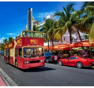 Miami Discover 1 Day Hop-On Hop-Off Tour