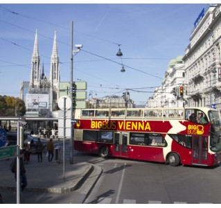 1 Day Hop-On Hop-Off Tour & Walking Tour (Vienna Discover)