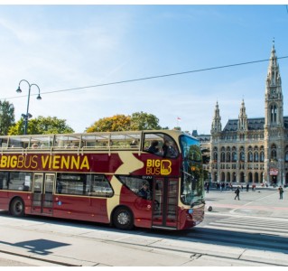 1 Day Hop-On Hop-Off Tour & Walking Tour (Vienna Discover)