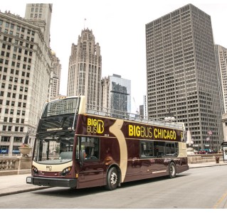 1 Day Hop-On Hop-Off Tour (Chicago Discover)