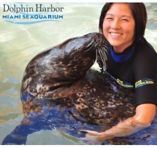 Miami Seaquarium Seal Swim