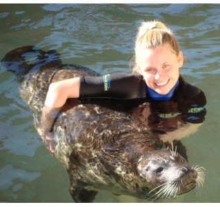 Miami Seaquarium Seal Swim