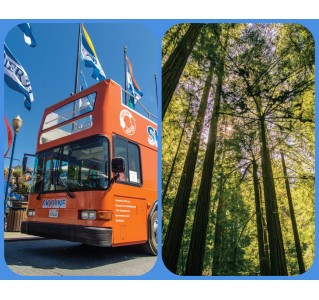 City & Woods (1-Day Hop-On Hop-Off & Muir Woods)