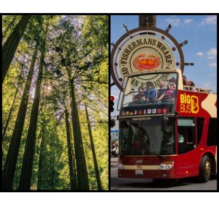 Super Saver: Muir Woods + Hop On/Off City Tour Combo