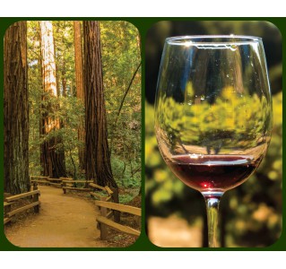 Woods & Wine (Muir Woods & Half Day Wine Tour - 10/11 hrs)