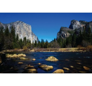 Yosemite National Park Day Tour (5 Hour Park)