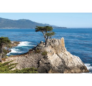 Monterey & Carmel - Day Tour