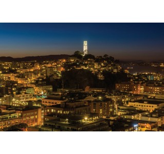 San Francisco Bay Cruise & Night Tour (NOT Hop-On Hop-Off)