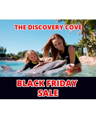 Discovery Cove BLACK FRIDAY SALE