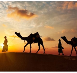 5 Day Hop-On Hop-Off Tour + 4 Attractions (Dubai Explore)