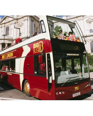 London Bus & Sightseeing Tours