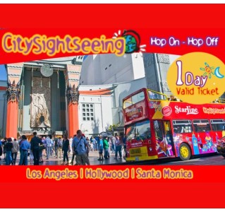 Hop-On Hop-Off City Sightseeing Tour - 1 Day