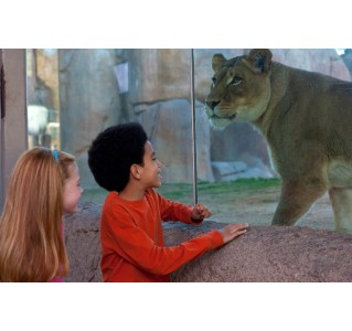 San Diego Zoo Safari Park - 1 Day Pass