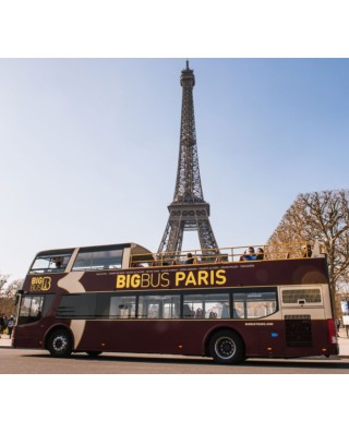 Bus & Sightseeing Tours