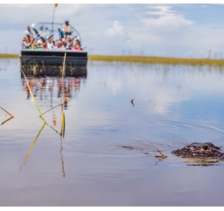 Everglades Admission Ticket - Sawgrass Recreation Park