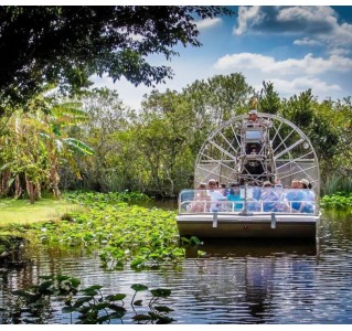 Everglades Airboat Tour and Biscayne Bay Cruise