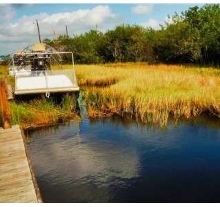 Miami City Tour and Everglades Airboat Adventure 