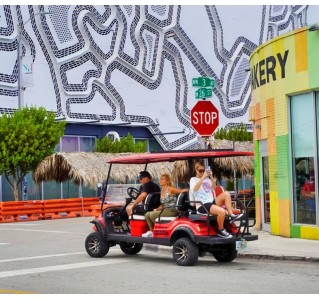 Wynwood Unlimited Experience