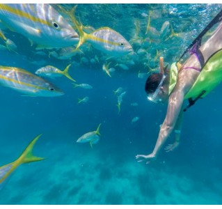 Key West Ultimate Island 2 Day Eco Tour (Excluding Accommodation)