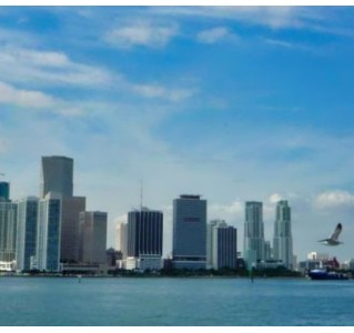 Miami City Tour and Biscayne Bay Cruise