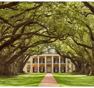 Oak Alley Plantation Tour