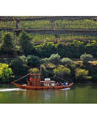 Boat Tours