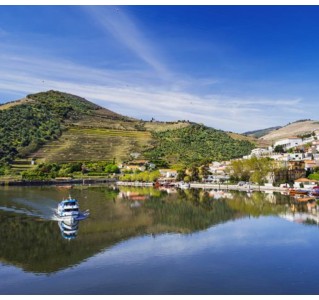 1 Day Cruise from Porto to Pinhão