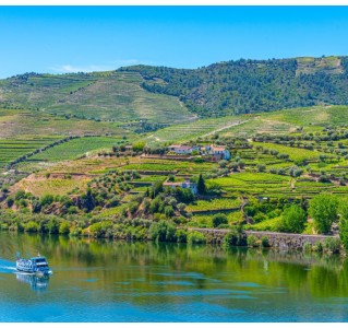 1 Day Cruise from Porto to Régua