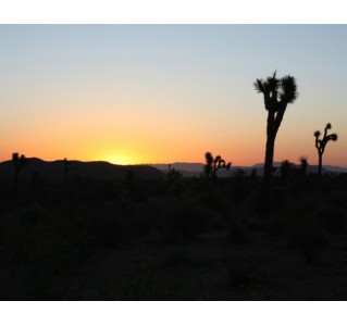 Death Valley Day Tour with Sunset and Stargazing