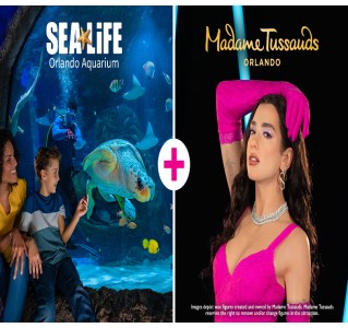 Madame Tussaud’s and Sea Life Aquarium Ticket