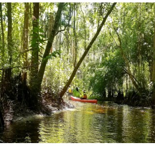 Shingle Creek Guided Kayak Adventure