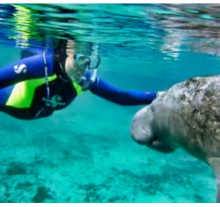 Florida Adventure Tour - Manatee Swim / Airboat / Wildlife Park + Lunch