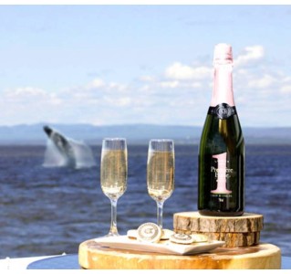 Whale Watching Tour - Saint-Laurent VIP Lounge