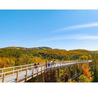 Treetop Walk (Sentier Des Cimes) Laurentides