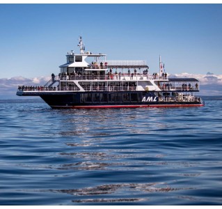 Whale Watching Boat Tour in Tadoussac