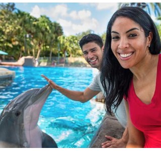 SeaWorld® Dolphin Encounter