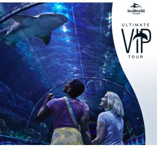 SeaWorld Orlando Ultimate VIP Tour