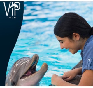 SeaWorld Orlando Ultimate VIP Tour