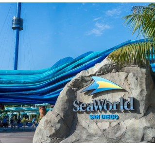 SeaWorld San Diego Any Day Ticket Plus All Day Dining