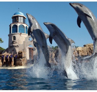  SeaWorld San Diego Two Day Ticket